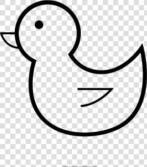 Desenhar Um Pato Fácil  HD Png Download