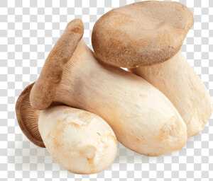 King Oyster Mushroom Png  Transparent Png