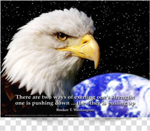 This Is The English Version Of Poster Design   Patriotic Eagle  HD Png Download