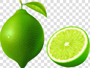 Lime Png Image   Lime Clipart Png  Transparent Png