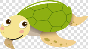 Sea Turtle Tortoise Portable Network Graphics Vector   Sea Turtle Cute Cartoon Transparent Background  HD Png Download