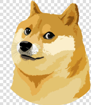 Doge Vector Illustration   Doge Meme Vector  HD Png Download