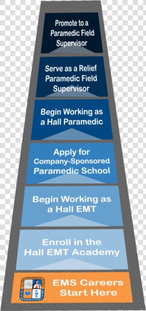 Fasttrack Ladder   Career Ladder For Veterinarians  HD Png Download