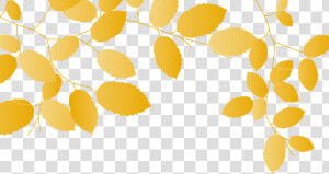 Yellow Leaves Background Png   Png Download   Yellow Leaves Transparent Background  Png Download