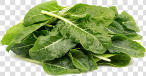 Transparent Collard Greens Png   Green Leafy Vegetables Png  Png Download