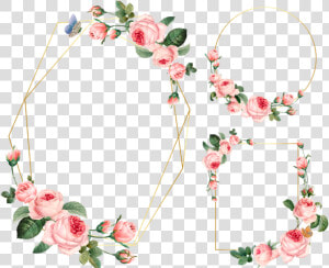  frame  flower  border  circle   ورد فيكتور Flower اطارات ورد  HD Png Download