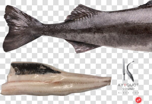 Sablefish  HD Png Download