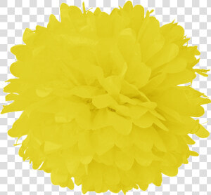 Clip Art Process Yellow Tissue   Red Pom Pom Png  Transparent Png