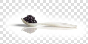 Frijoles Negros  HD Png Download