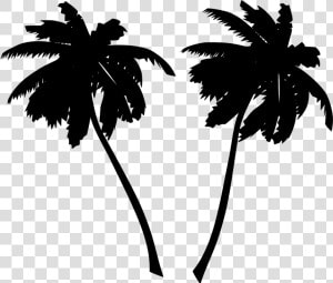 Palms  Trees  Black  Silhouettes   Palm Tree Vector Png  Transparent Png