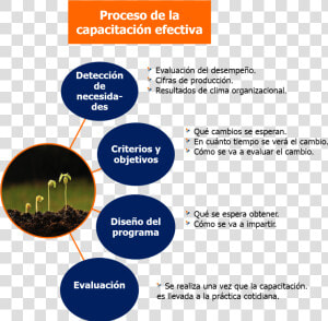 Proceso De Capacitacion De Personal   Png Download   Proceso De Capacitacion De Personal  Transparent Png