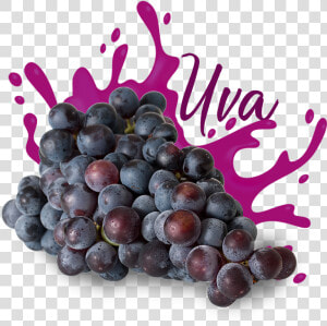 Uva   Seedless Fruit  HD Png Download