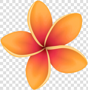 Orange Tropical Flower Clip Art Image Gallery Yopriceville   Transparent Background Tropical Flower Clipart  HD Png Download