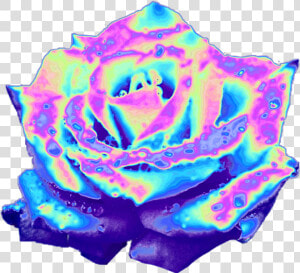 Top 10 Holographic Flowers These Stickers And So Much   Aesthetic Png Blue Clipart Aesthetic  Transparent Png