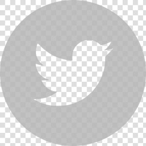 Twitter Logo White Vector   Black Twitter Logo Transparent Background  HD Png Download