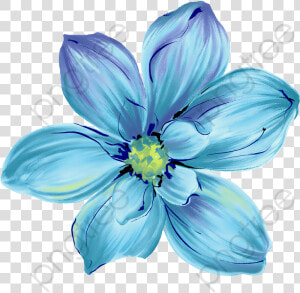 Flower Blue Flowers Watercolor Png Transparent   Png Blue Flower  Png Download