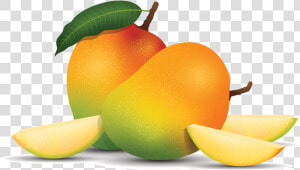 Tangerine  HD Png Download