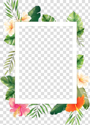 Flowers Png Marco   Marco Sticker Png  Transparent Png