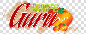 Tomato Growing Guru   Png Download  Transparent Png