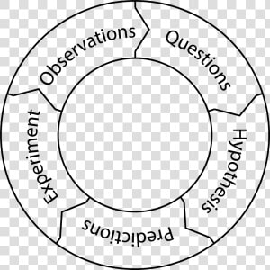 Scientific Method Graphic   Circle  HD Png Download