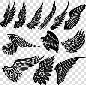 Tattoo Artist Flash Angel   Small Wings Tattoo On Chest  HD Png Download