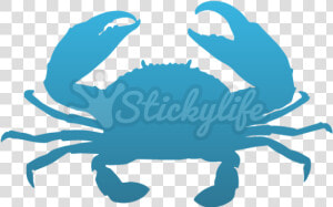 Crabs Clipart Blue Crab   Blue Crab Silhouette  HD Png Download