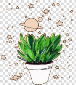 Houseplant  HD Png Download