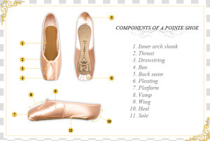 Pointe Shoes Components  HD Png Download