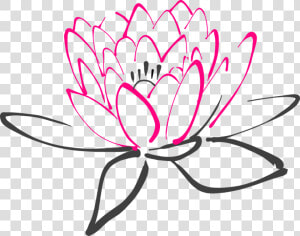 Water Lily  Flower  Pink  Lotus  Lily  Blossom  Bloom   Clear Background Flowers Cartoon  HD Png Download