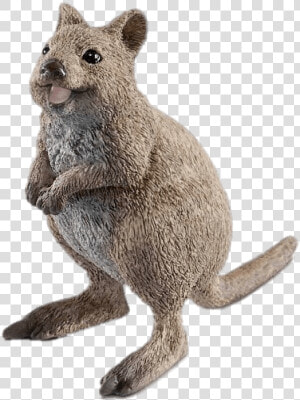 Quokka Figurine   Schleich Rat  HD Png Download