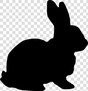 Rabbit Silhouette Transparent Png Image   Rabbit Silhouette Png  Png Download