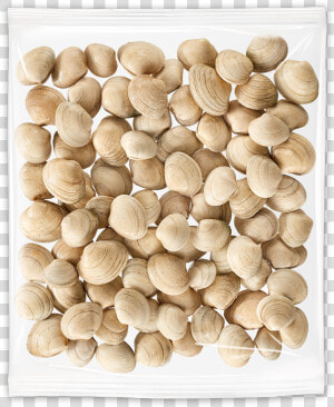 Clams   Wood  HD Png Download