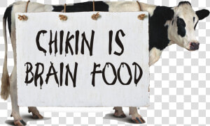 Graphic Freeuse Stock Chick Fil A Cow Clipart   Chick Fil A Cow Png  Transparent Png