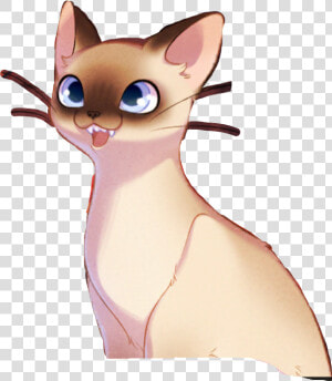  pepi  thearcana  arcana  siamese  cat  freetoedit   Arcana Pepi  HD Png Download