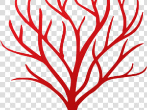 Coral Clipart Red Coral  HD Png Download