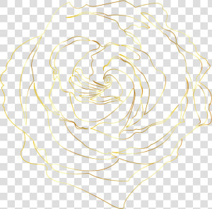  gold  golden  goldroses  goldrose  goldenroses  goldenrose   Floribunda  HD Png Download