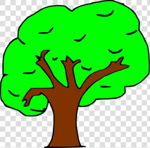 Arbol   Arbol Clipart  HD Png Download