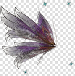 Realistic Fairy Wings Png  Transparent Png