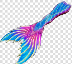  mermaid  mermaids  tail  fin  tails  fins  fantasy   Illustration  HD Png Download