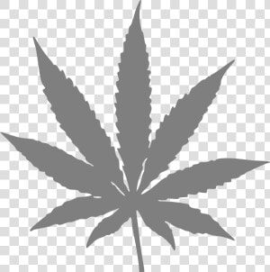 Real Weed Leaf Png   Transparent Background Weed Leaf Png  Png Download