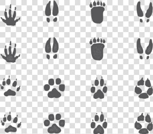 Animal Footprints Png  Transparent Png