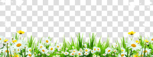 Svg Library Flower Download Icon Cute Flowers Roadside   Flowers Weeds Png  Transparent Png