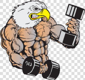 Muscle Eagle Png   Body Builder Eagle Cartoon  Transparent Png