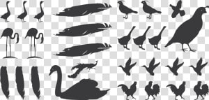 Fowlplay   Silhouette  HD Png Download