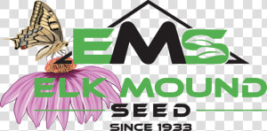 Elk Mound Wildflowers  HD Png Download