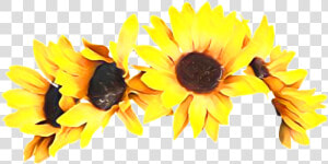  autumn  fall  headband  sun  sunflower  sunflowerheadbands   Sunflower Flower Crown Png  Transparent Png