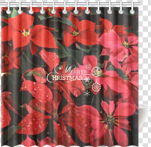 Poinsettia  Merry Christmas Shower Curtain 69 X70  HD Png Download