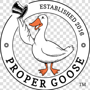 Drawn Swan Goose   Coat Of Arms Of East Timor  HD Png Download