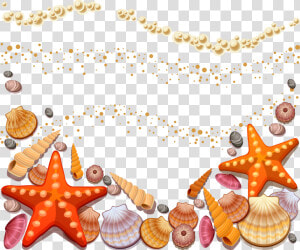 Shells On The Beach Clipart   Png Download   Sea Shells Vector Free  Transparent Png