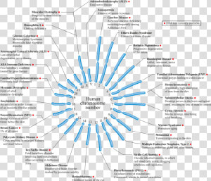 Genetic Diseases  HD Png Download